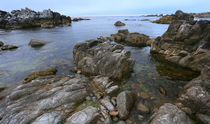Monterey Bay von Vadim Smirnov