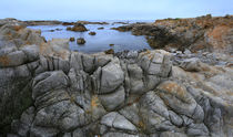 Monterey Bay von Vadim Smirnov