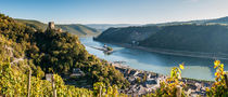 Kaub + Gutenfels + Pfalzgrafenstein (9neu) von Erhard Hess