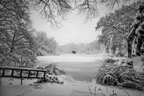 Winter Wonderland by Chris Lord