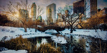 Sunrise in Winter at Central Park by Chris Lord