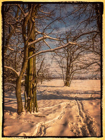 Spuren im Neuschnee by Uwe Karmrodt