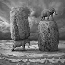 Relativity von Dariusz Klimczak