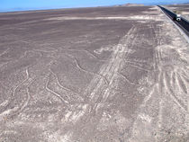 Nazca und ein paar Linien in der Wüste von reisemonster