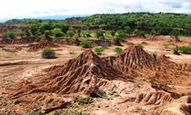 wüste mit Landschaftsgrün von reisemonster