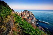 Manarola I by David Pinzer