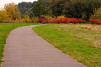 Weg in den Herbst by bagojowitsch