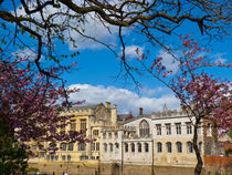 York,museum gardens,hospitium. by Robert Gipson