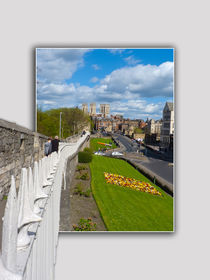 York walls minster von Robert Gipson