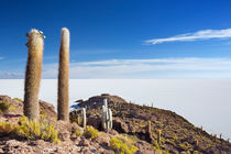 Salar De Uyuni by Sara Winter