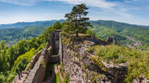 Neu-Scharfeneck - Aussicht by Erhard Hess