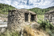 Ricardo's Wine Vats II (Catalonia) by Marc Garrido Clotet