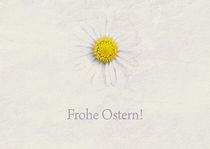 Frohe Ostern! von ndsh