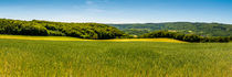 Weizenfeld-Panorama I von Erhard Hess