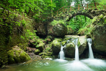 Bridge And Waterfall by Sara Winter