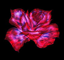 Blume Fantasie 4 by Walter Zettl