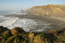 View near Hartland von Pete Hemington