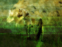 horse whispering von urs-foto-art