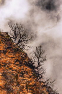 Combing Clouds by David Pinzer