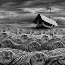 Stormy by Dariusz Klimczak
