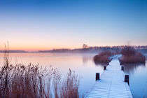 Frozen Boardwalk von Sara Winter