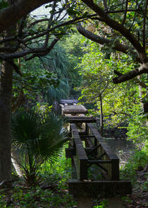 Abandoned Railroad Bridge by John Bailey