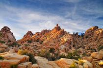 Hidden Valley - Joshua Tree National Park by Martin Krämer