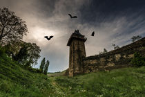 Michelfeldturm in Oberwesel-unheimlich by Erhard Hess