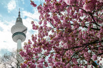 Hamburg im Frühling VIII von elbvue von elbvue