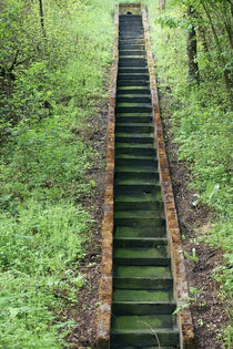 Grüne Treppen  by Bastian  Kienitz