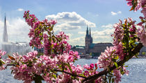 Hamburger Rathaus von der Binnenalster aus by Dennis Stracke