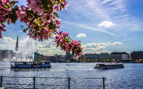 Alsterschippern auf der Binnenalster Hamburg von Dennis Stracke