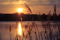 Sonnenuntergang am See von sylbe