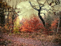 Herbstsonate in Moll von Heidrun Carola Herrmann