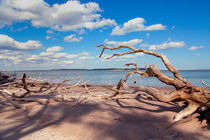 Boneyard Beach von John Bailey