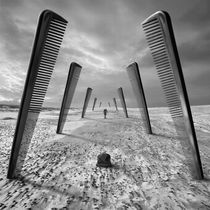 Barber's Dream von Dariusz Klimczak