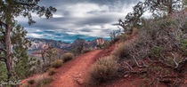 Sedona Vortex by Jim DeLillo