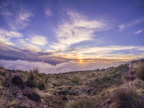 Kilimanjaro Sunset by Jim DeLillo