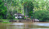 living on the River von reisemonster