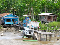 Wohnen am Amazonas von reisemonster