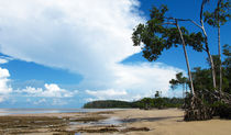 Sandstrand am Amazonas von reisemonster