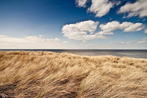 Dünen in Kampen auf Sylt by Jens Rackow