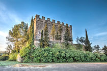 Castell de Balsareny (Catalonia) by Marc Garrido Clotet