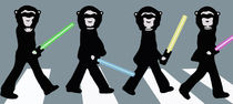 Beatles Star Wars von Marisa Rosato