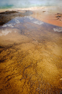 Yellowstone abstract spring 3 von Andy-Kim Möller