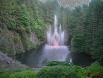 The Fountain by John Bailey