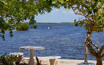 A Picturesque View In Key Largo von John Bailey