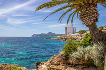 Palmen auf Mallorca by Dennis Stracke