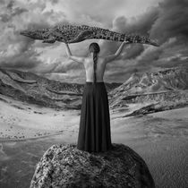 High & Dry by Dariusz Klimczak