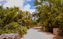 Walking Through Queen Elizabeth II Botanic Park von John Bailey